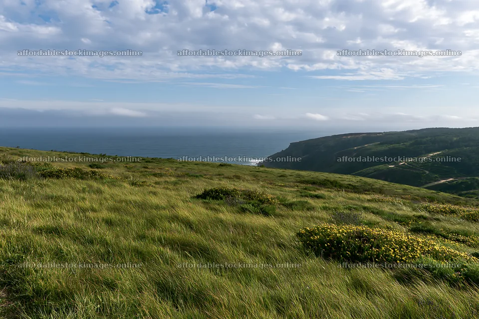 Green meadow above Atlantic coast in Portugal – stock images 9722x6480
