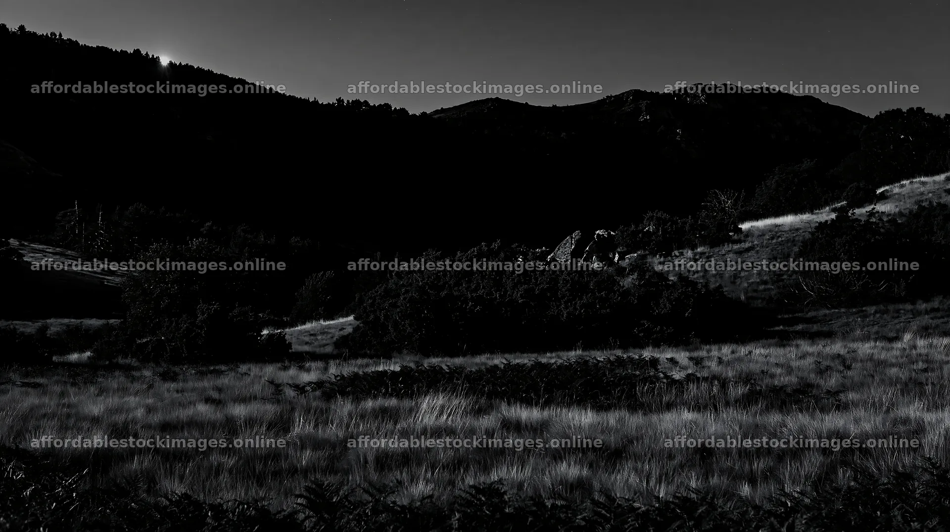 Moonlit meadow under dark sky at night – stock images 10608x5938