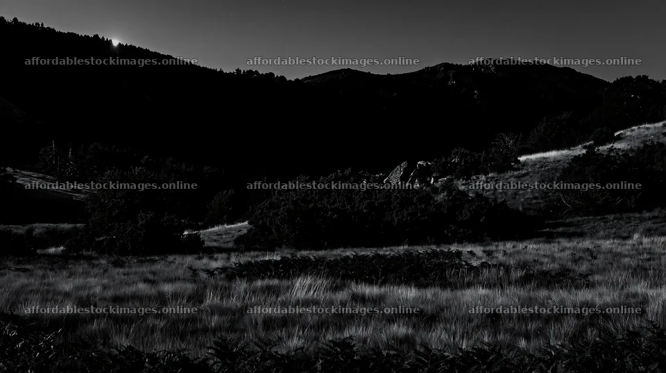 Moonlit meadow under dark sky at night – stock images 10608x5938