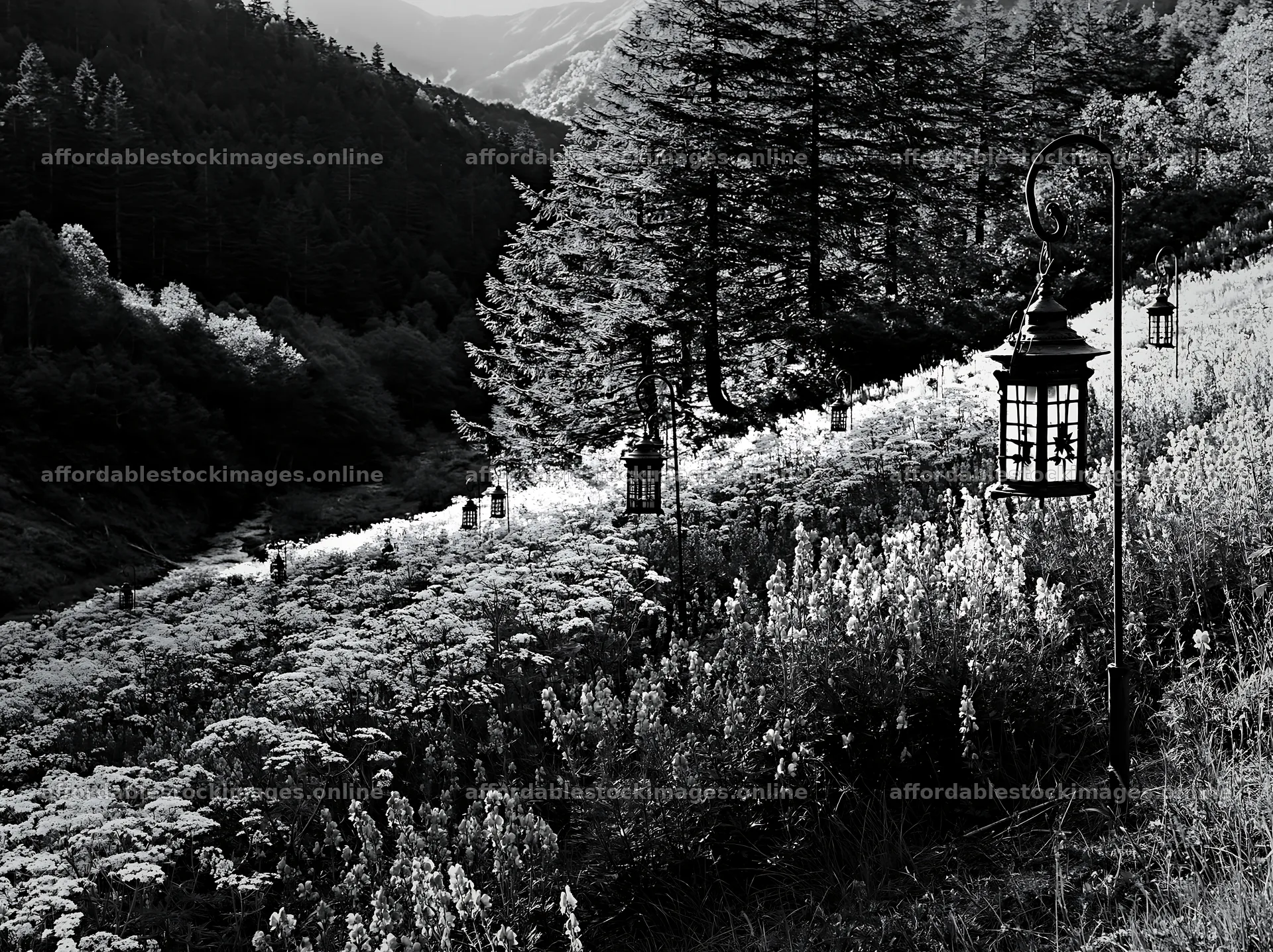 Christmas lanterns in mountain valley meadow at dusk – stock images 9174x6866