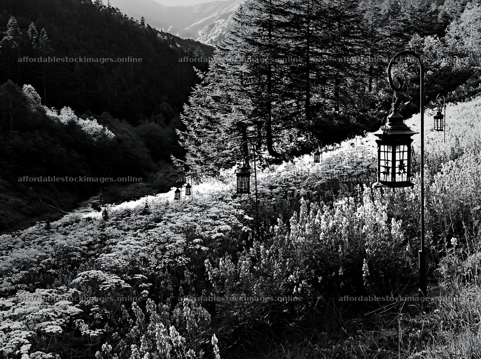 Christmas lanterns in mountain valley meadow at dusk – stock images 9174x6866