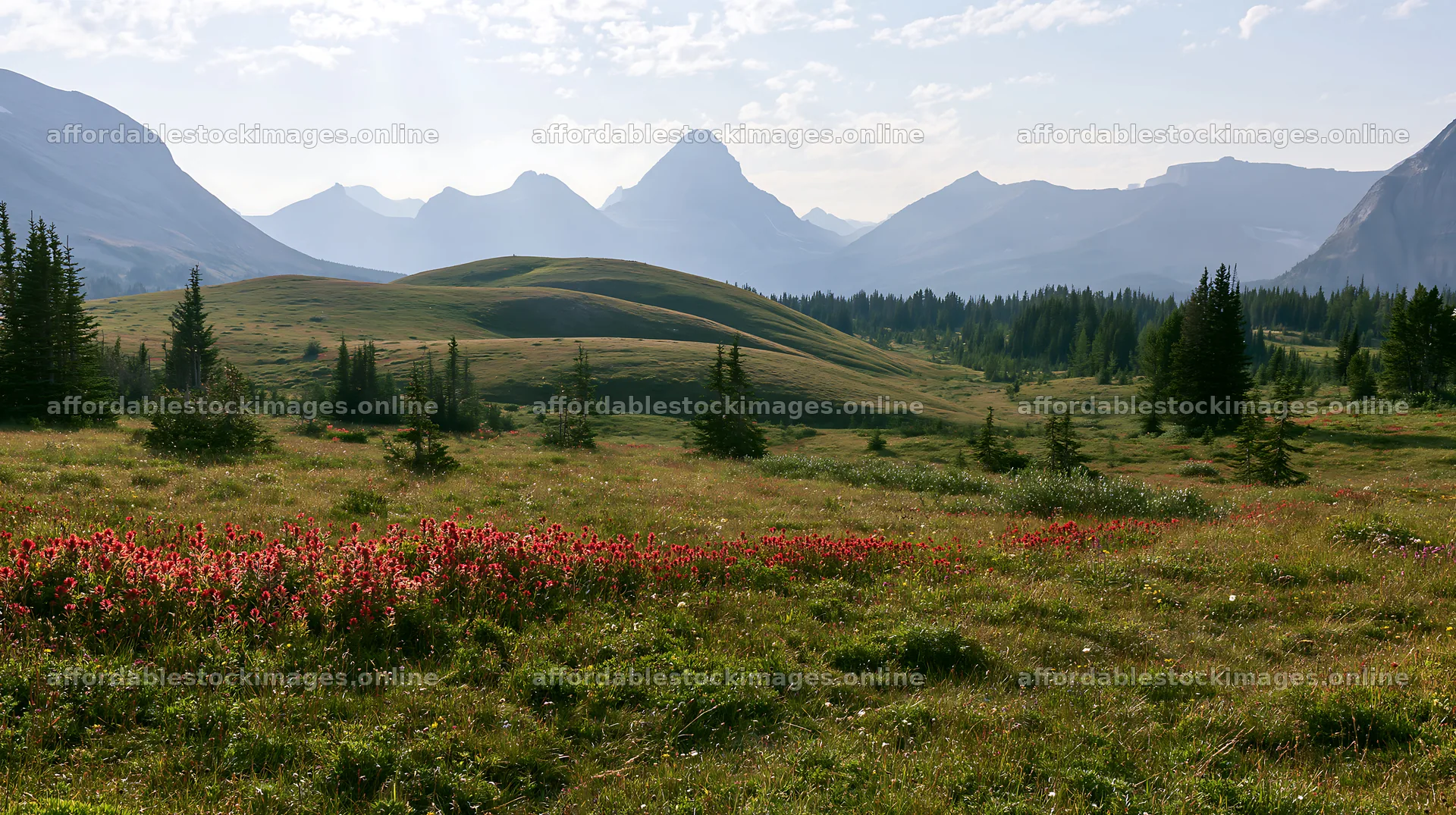 Sunshine Meadows landscape with mountains and light rays – stock images 10608x5938
