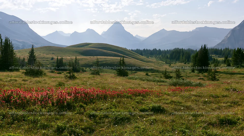 Sunshine Meadows landscape with mountains and light rays – stock images 10608x5938