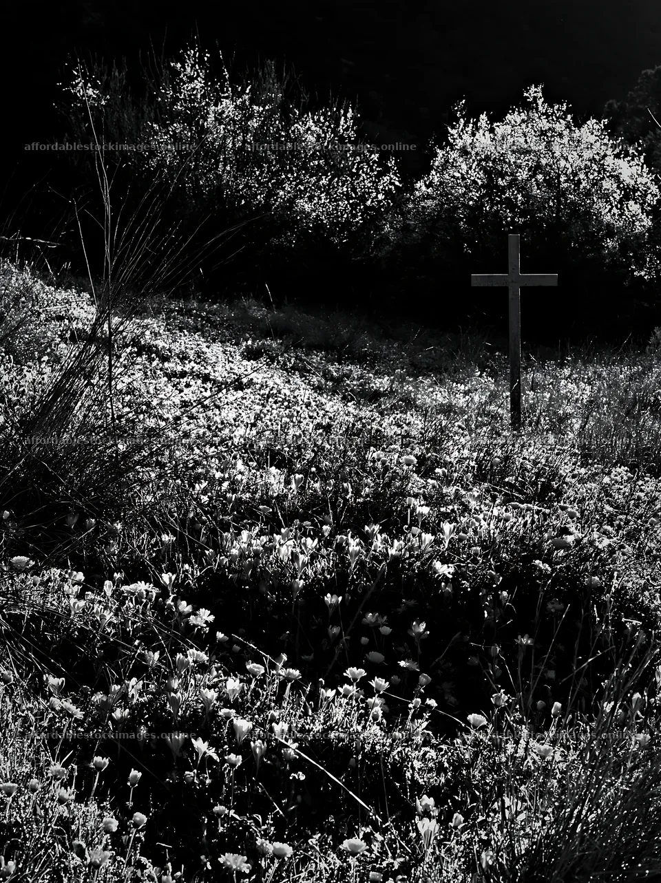 Christian cross in a winter meadow with surrounding grasses – stock images 6866x9174