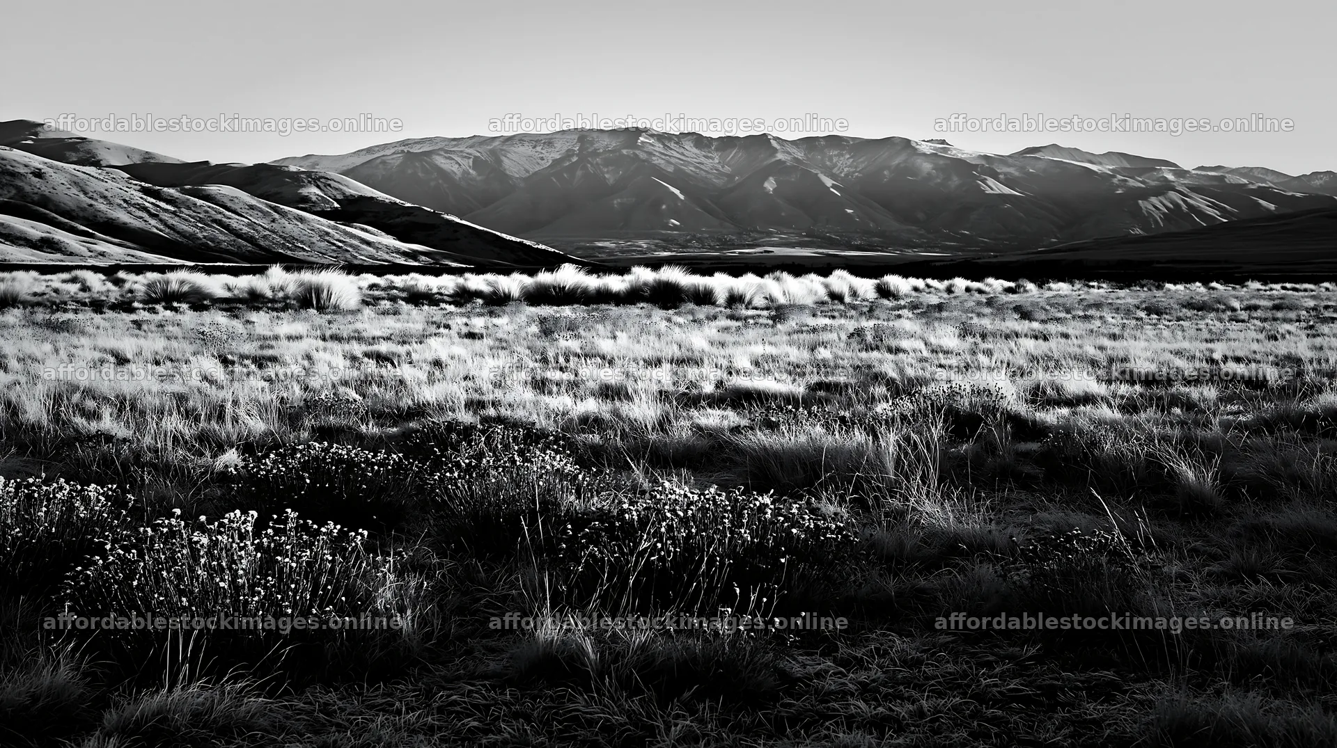 Frosty meadow at sunrise with mountains in the background – stock images 10608x5938