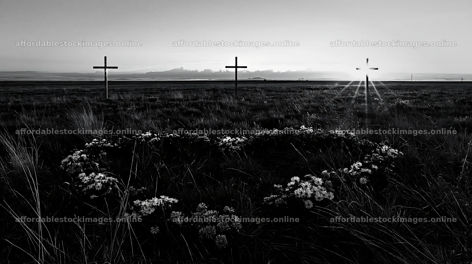 Three Christian crosses in a Christmas meadow at sunrise – stock images 10608x5938