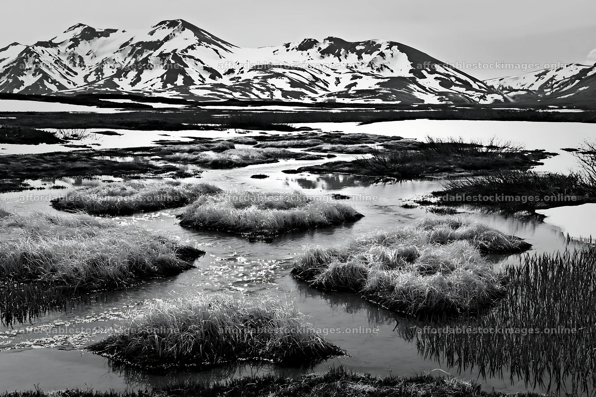 Snowmelt meadow with silver grasses in Akita – stock images 9722x6480