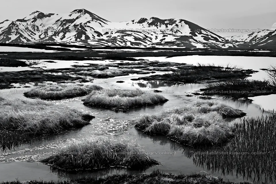 Snowmelt meadow with silver grasses in Akita – stock images 9722x6480