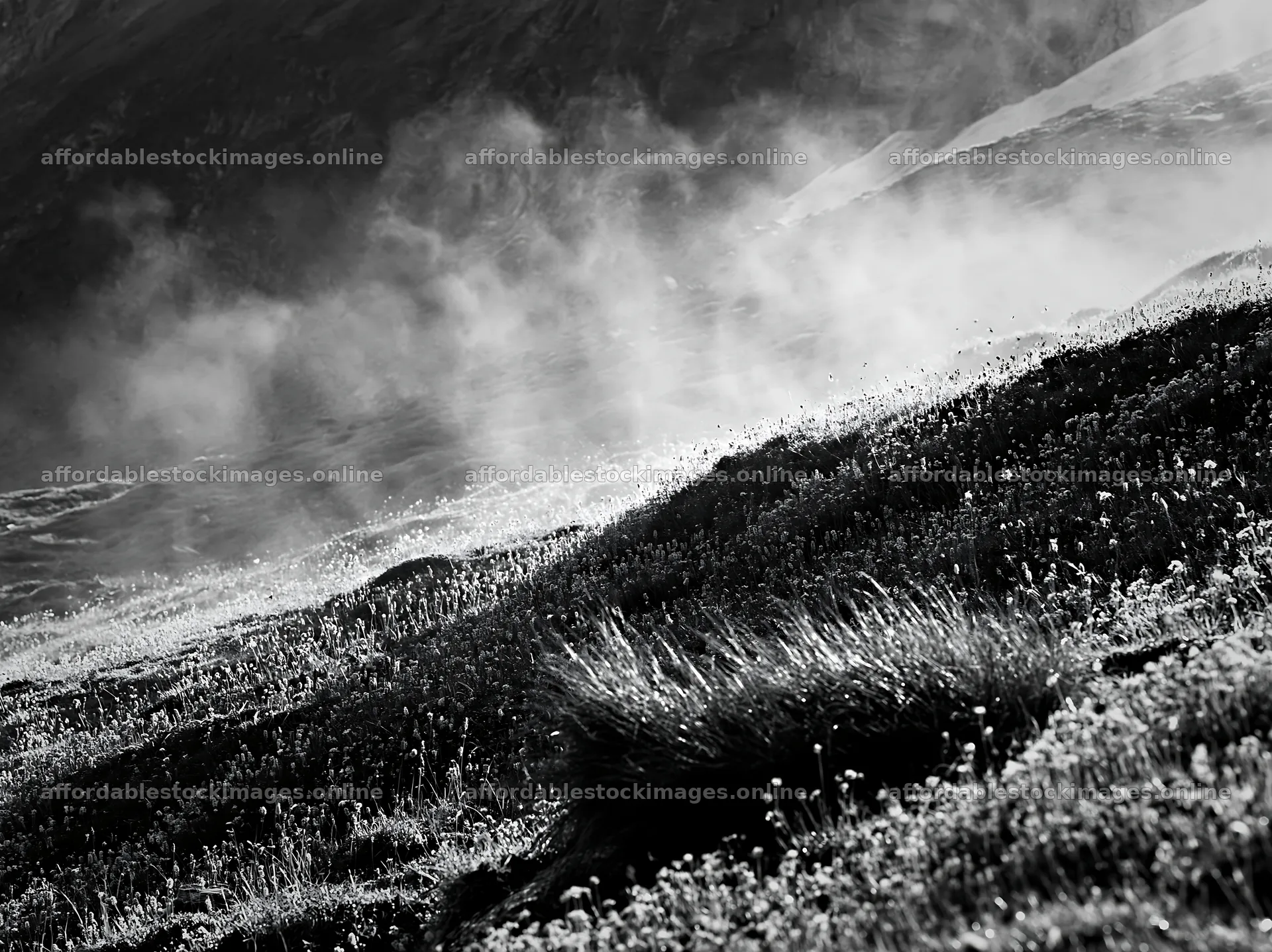 Matterhorn alpine wildflower meadow with fog and shadows – stock images 9174x6866