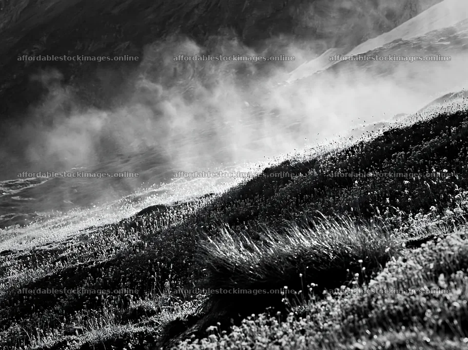 Matterhorn alpine wildflower meadow with fog and shadows – stock images 9174x6866