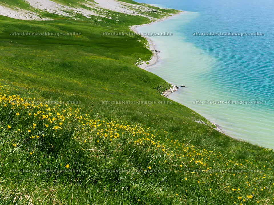 Swiss meadow by alpine lake with flowers in the foreground – stock images 9174x6866