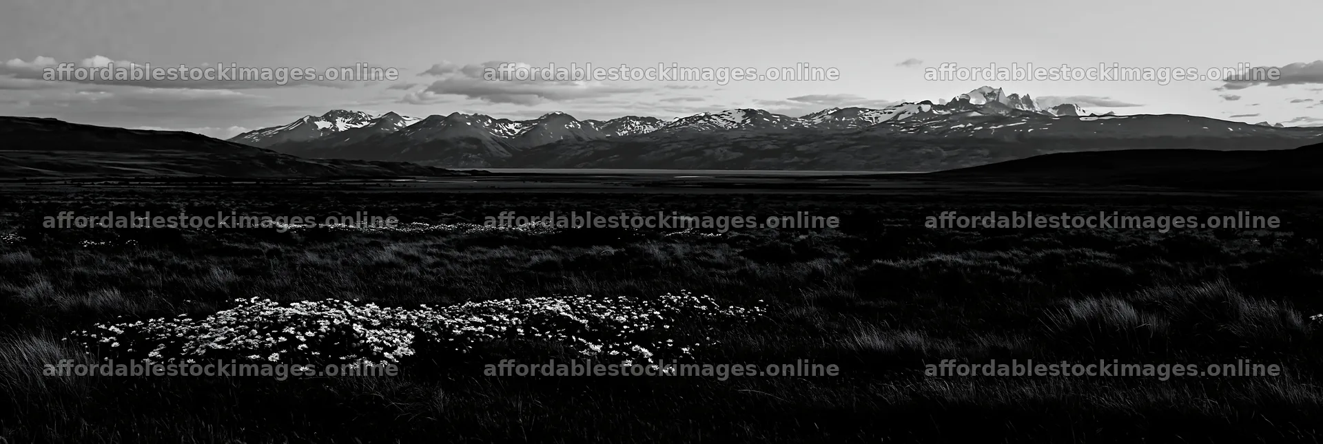 Climate-resilient meadow with mountains in the background – stock images 13690x4602