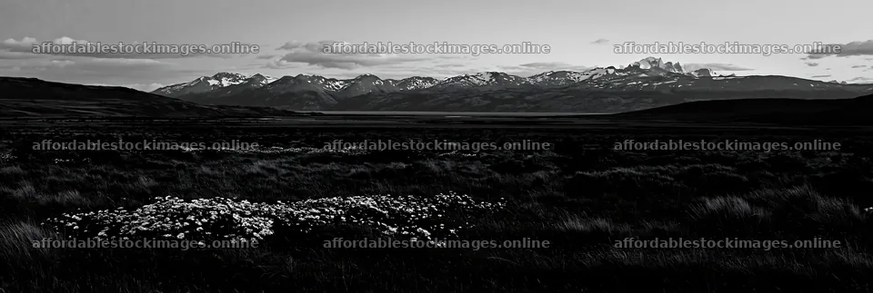 Climate-resilient meadow with mountains in the background – stock images 13690x4602