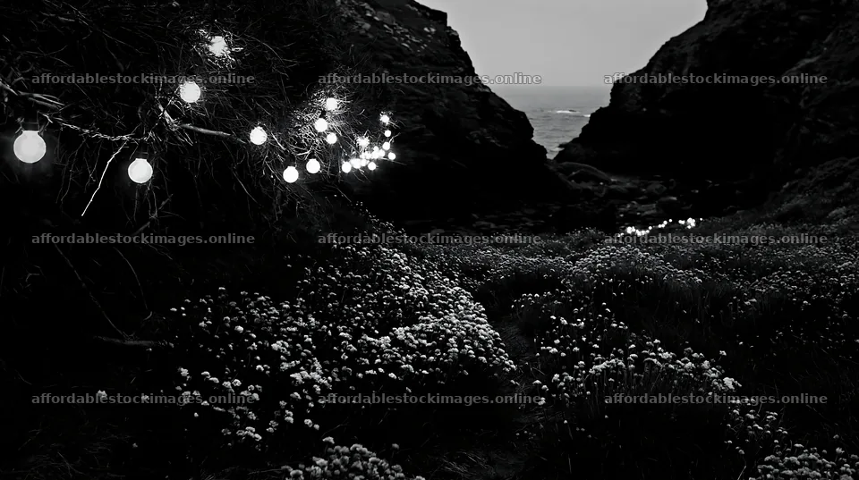 Christmas lights at dusk in a meadow near a cave – stock images 10608x5938