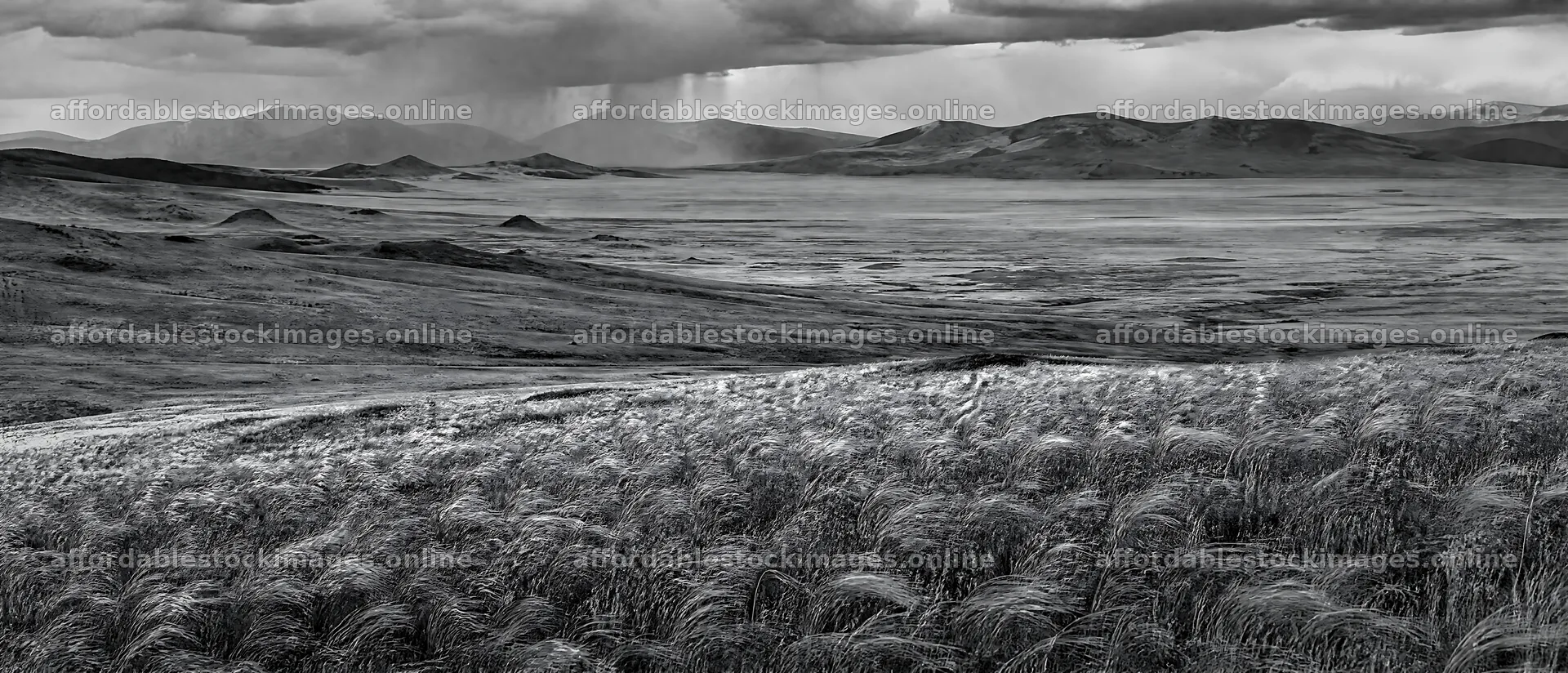 Rewilding meadow displays open grasslands and distant mountains – stock images 12116x5200