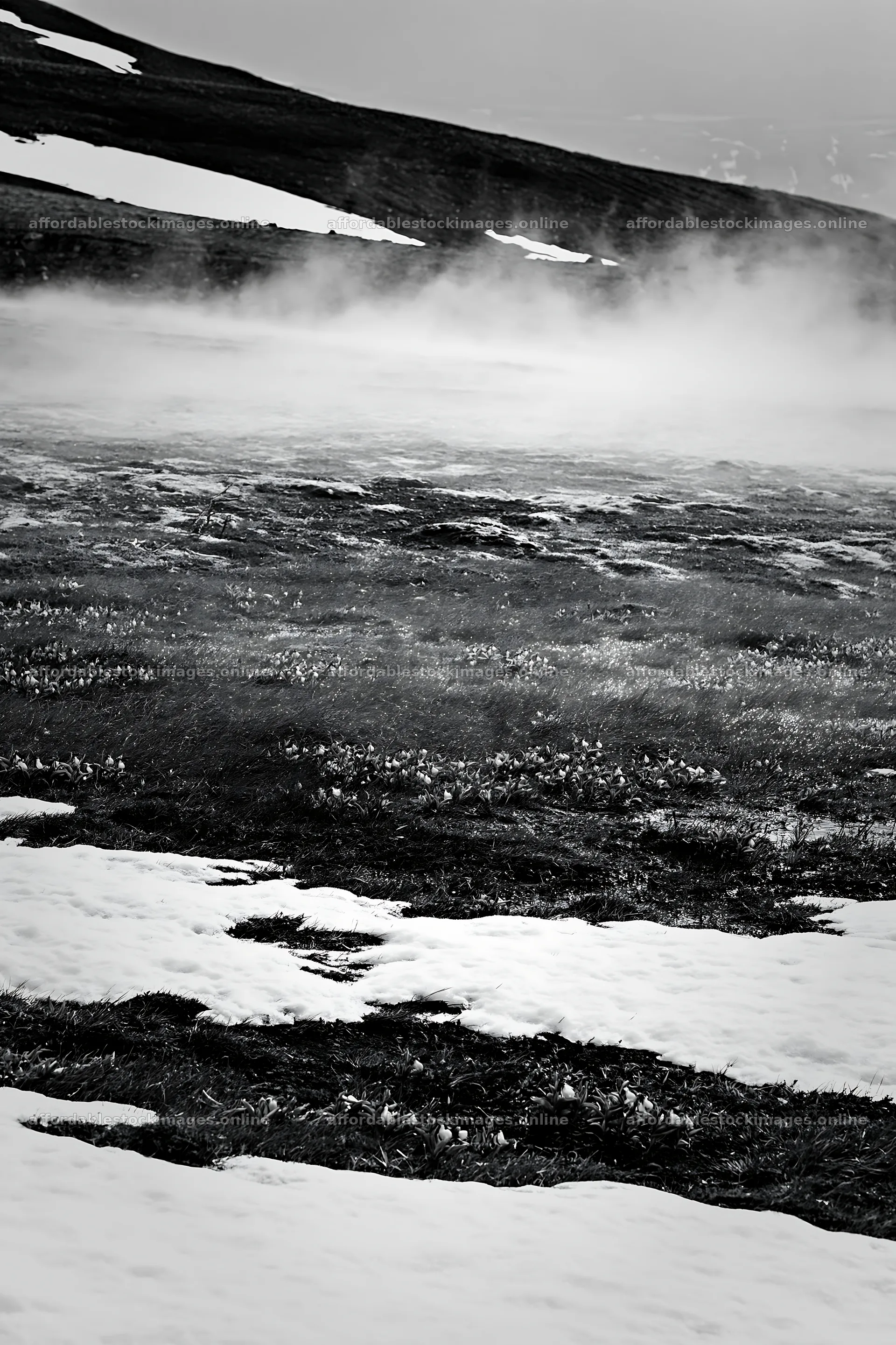 Snow covered meadow in Torres del Paine with mist – stock images 6480x9722
