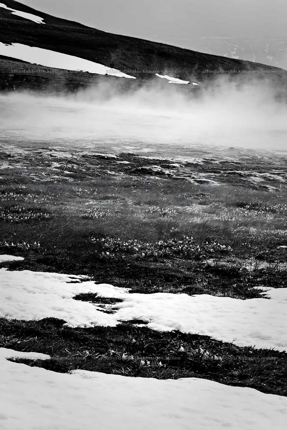Snow covered meadow in Torres del Paine with mist – stock images 6480x9722