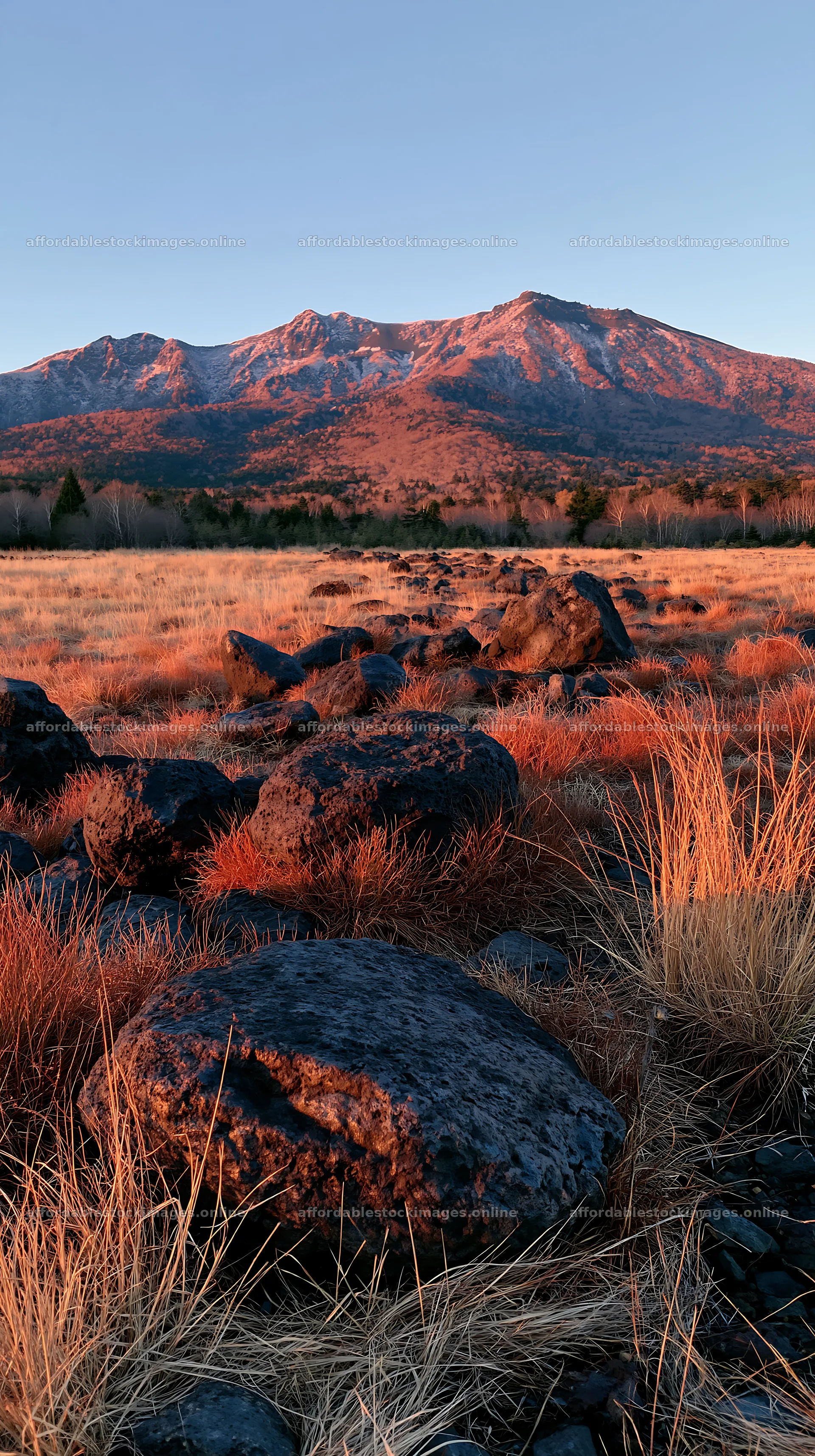 Yamanashi regenerative meadow with basalt stones under sunset – stock images 5938x10608