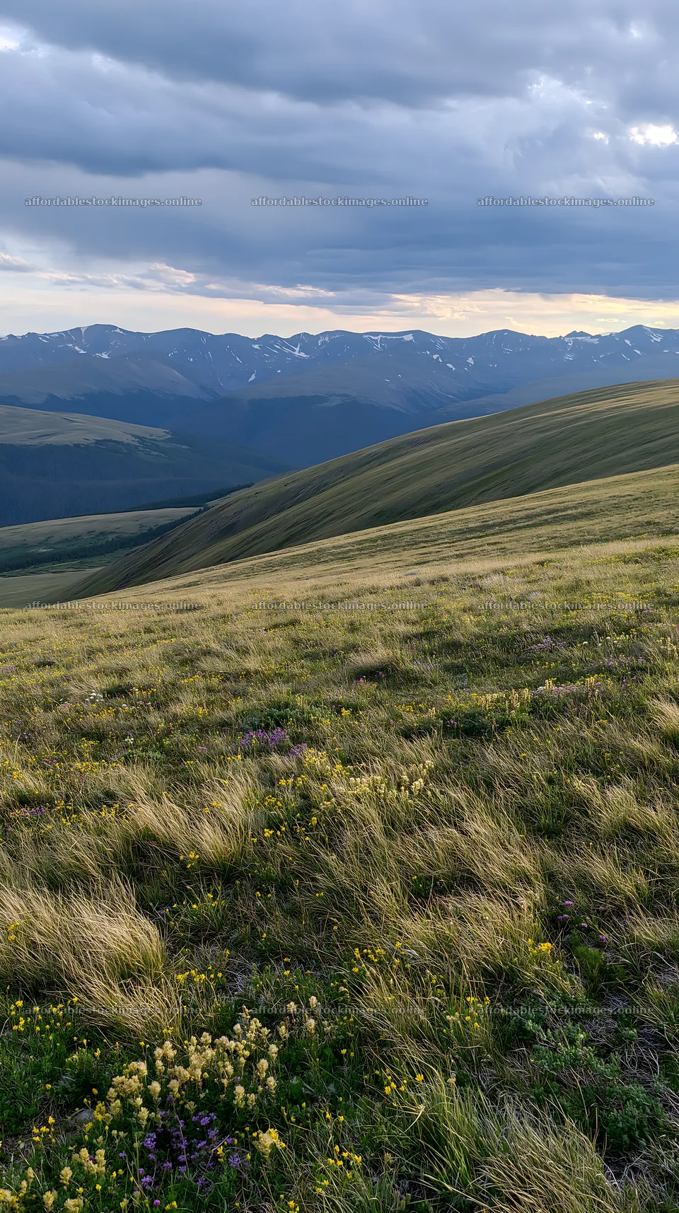 Climate-resilient meadow with mountain view during sunset – stock images 5938x10608