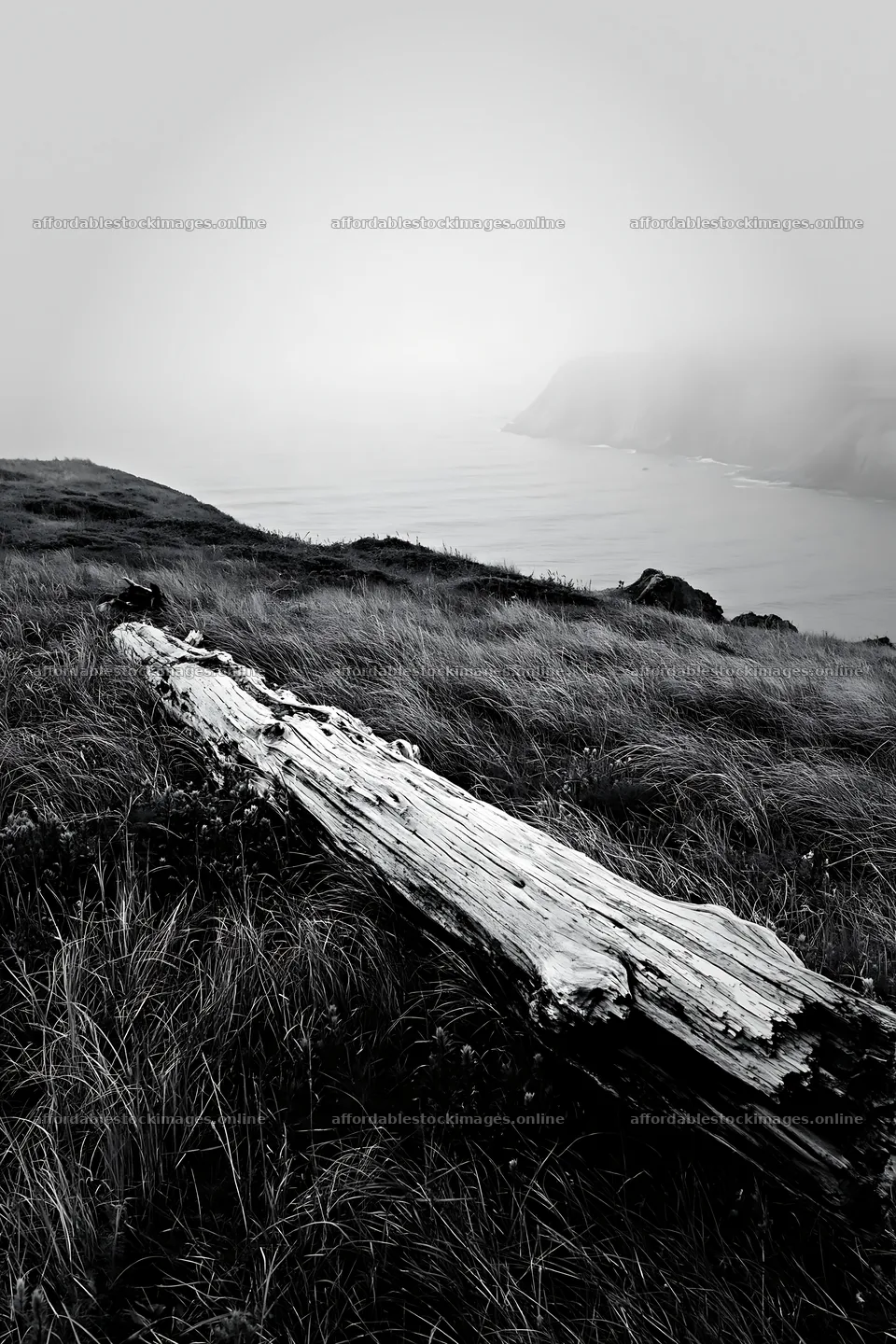 Weathered log on meadow near coastal cliffs – stock images 6480x9722
