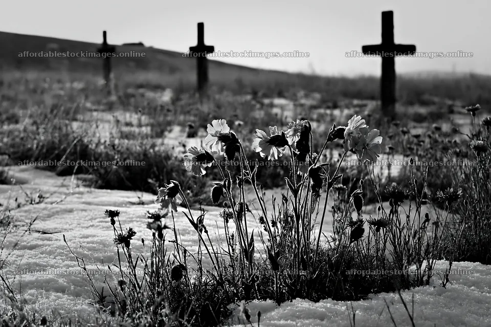 Multiple Christian crosses in snowy meadow with flowers – stock images 9722x6480