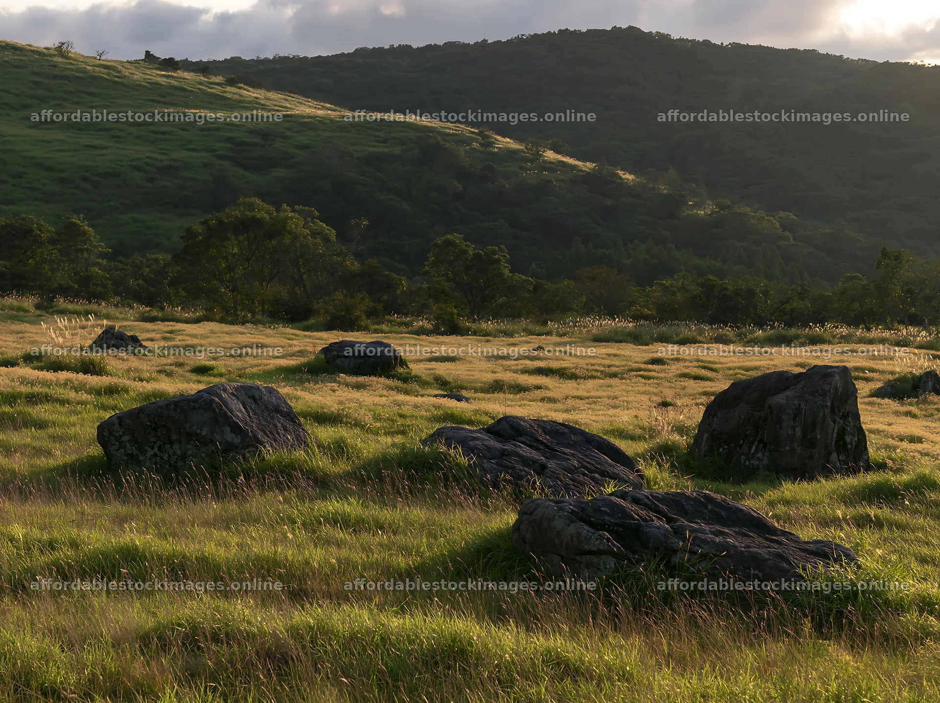 Oita highland meadow with granite stones in evening light – stock images 9174x6866