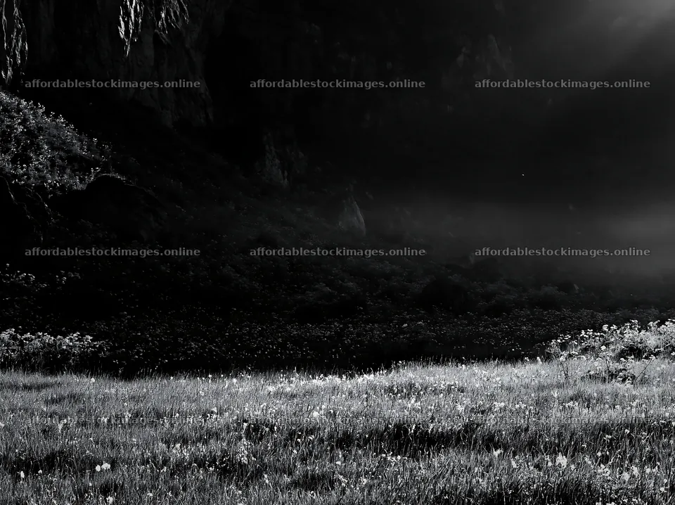 Meadow beneath crags with soft light and green grass – stock images 9174x6866
