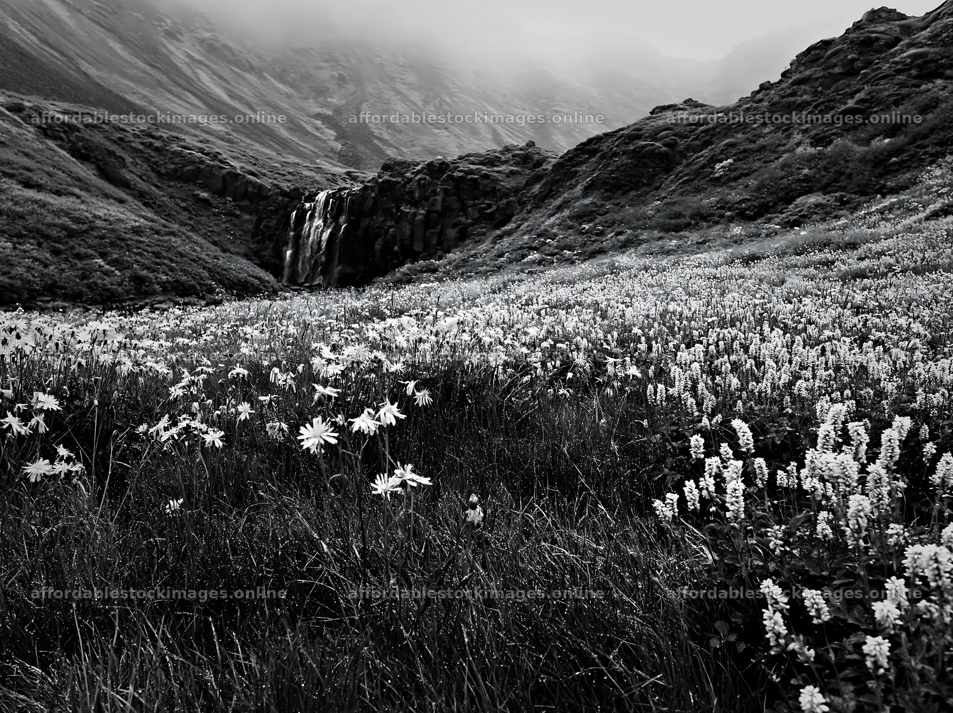 Misty mountain waterfall in a meadow with wildflowers – stock images 9174x6866
