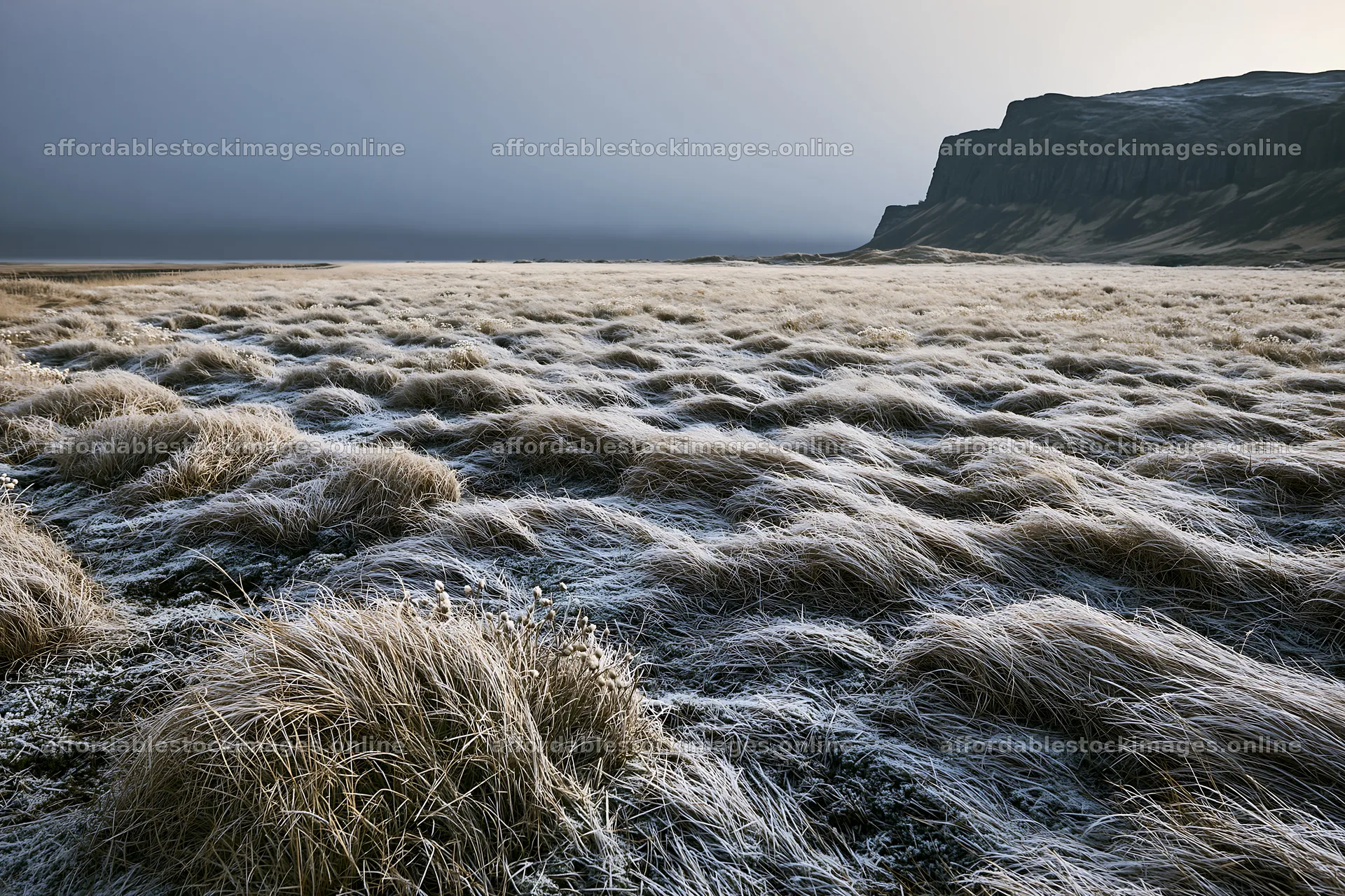 Frosty coastal meadow with grass and cliffs in the background – stock images 9722x6480