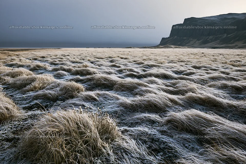 Frosty coastal meadow with grass and cliffs in the background – stock images 9722x6480