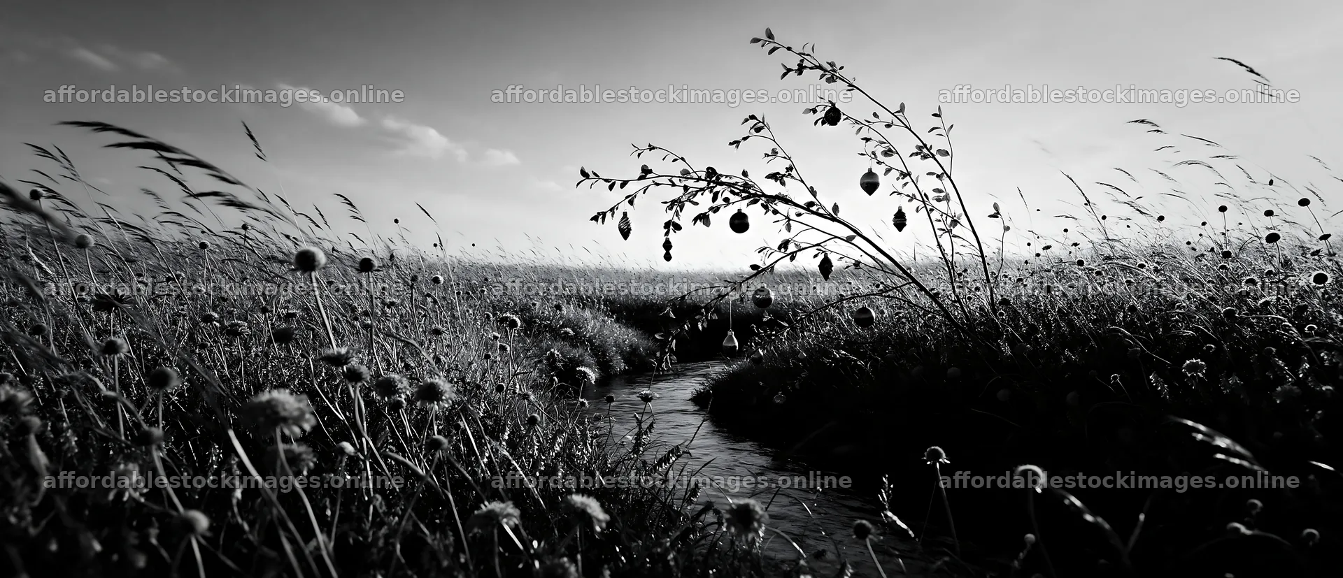 Christmas ornaments above stream in meadow during sunny day – stock images 12094x5210