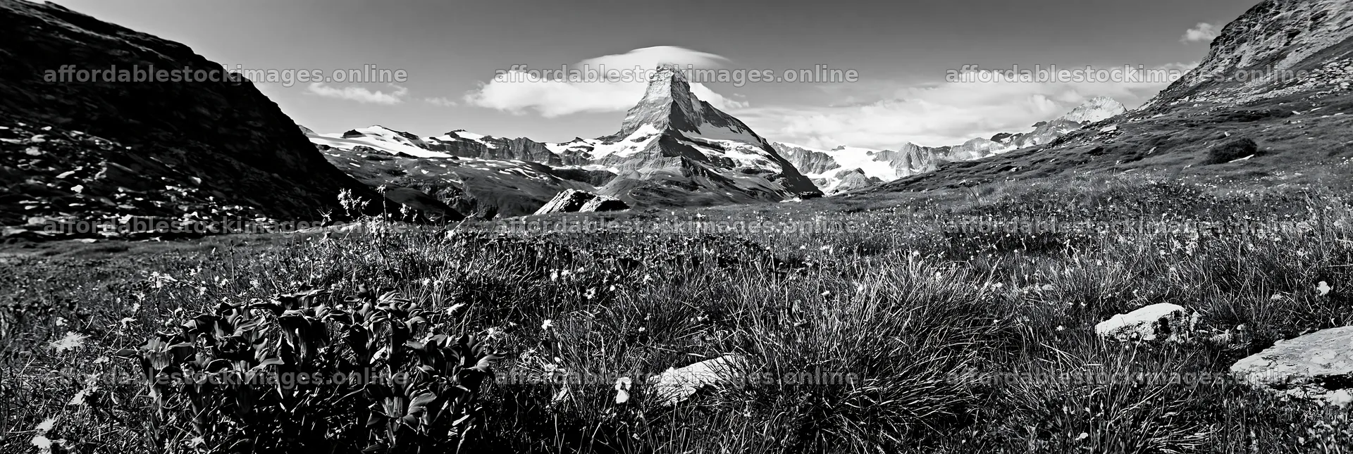 Matterhorn alpine wildflower meadow with mountains – stock images 13690x4602