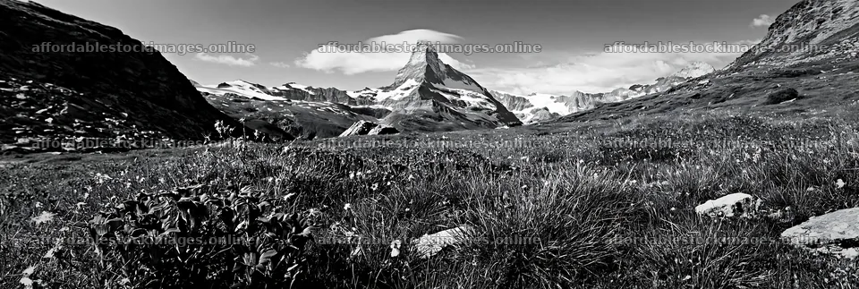 Matterhorn alpine wildflower meadow with mountains – stock images 13690x4602