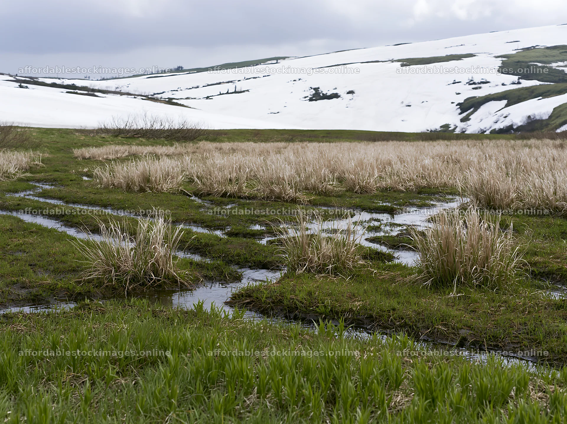 Akita snowmelt meadow with silver grasses in early spring – stock images 9174x6866