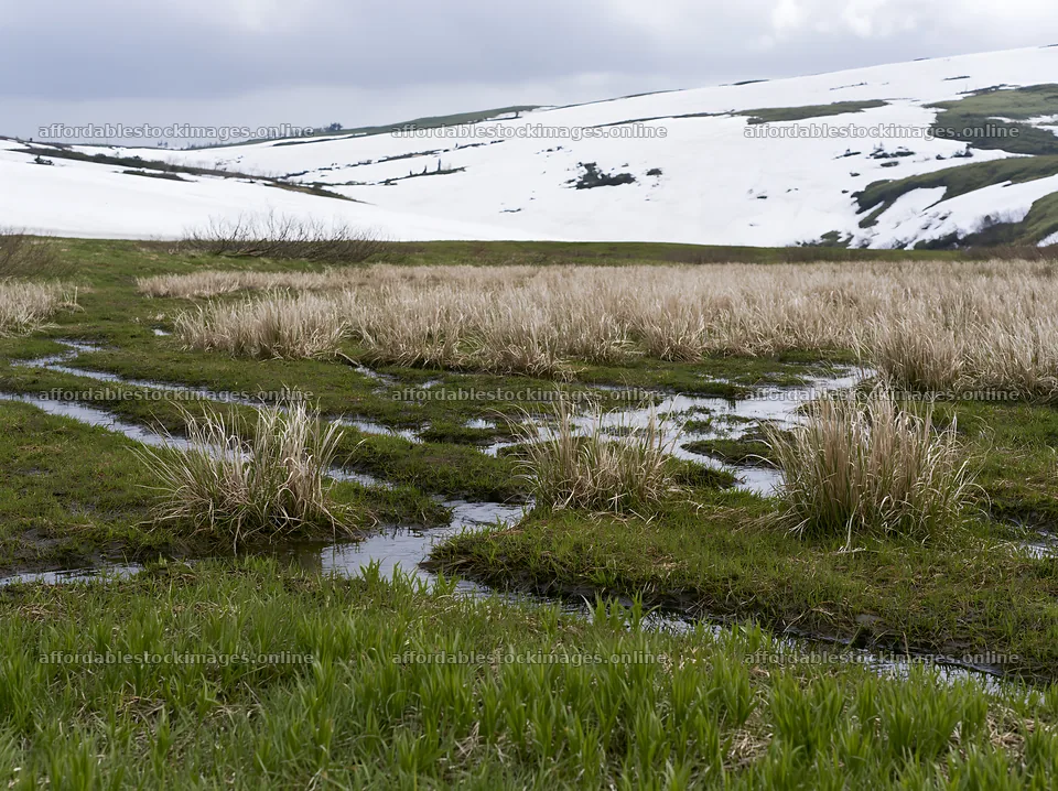 Akita snowmelt meadow with silver grasses in early spring – stock images 9174x6866