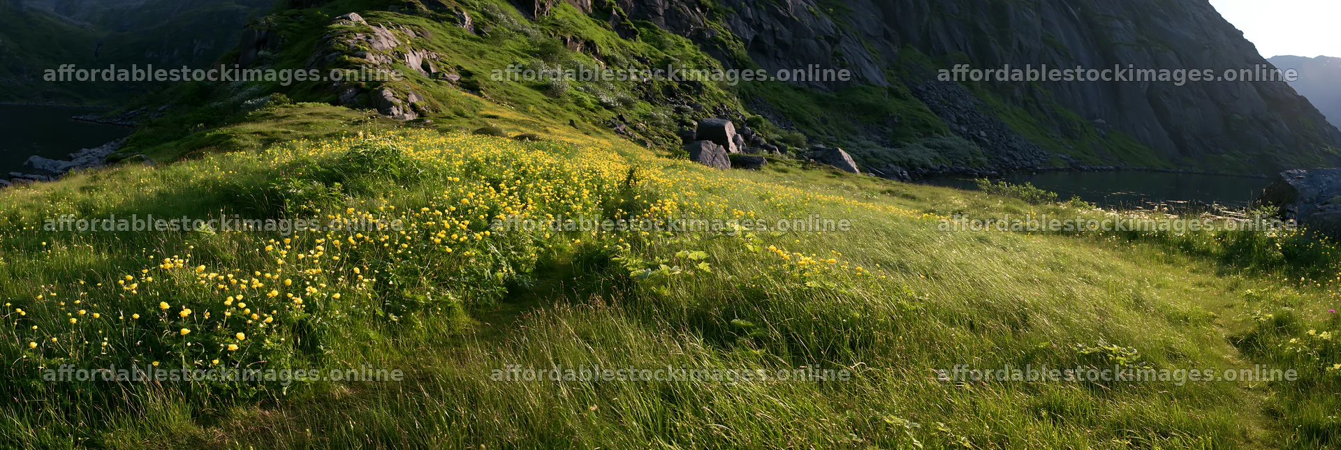 Meadow under crags with flowers and rocky landscape – stock images 13690x4602