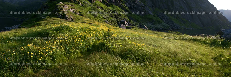 Meadow under crags with flowers and rocky landscape – stock images 13690x4602