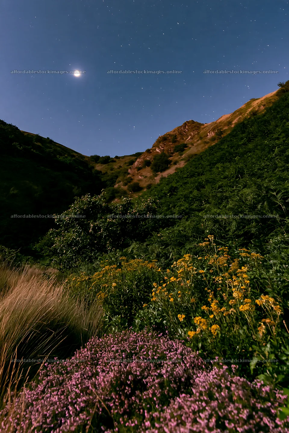 Dark sky over a meadow with wildflowers and a mountain backdrop – stock images 6480x9722