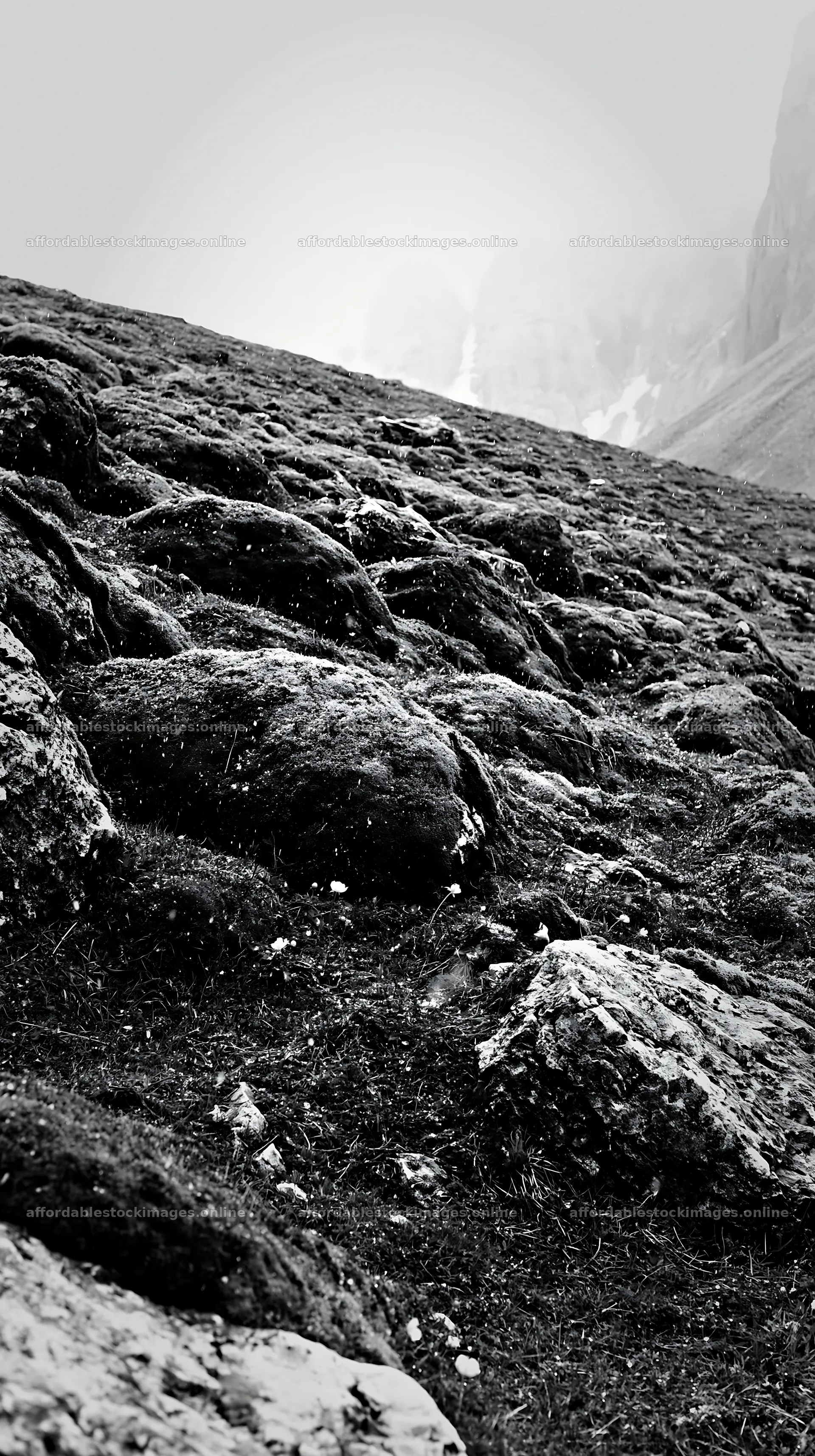 Mossy boulders in a meadow on a cloudy day – stock images 5938x10608