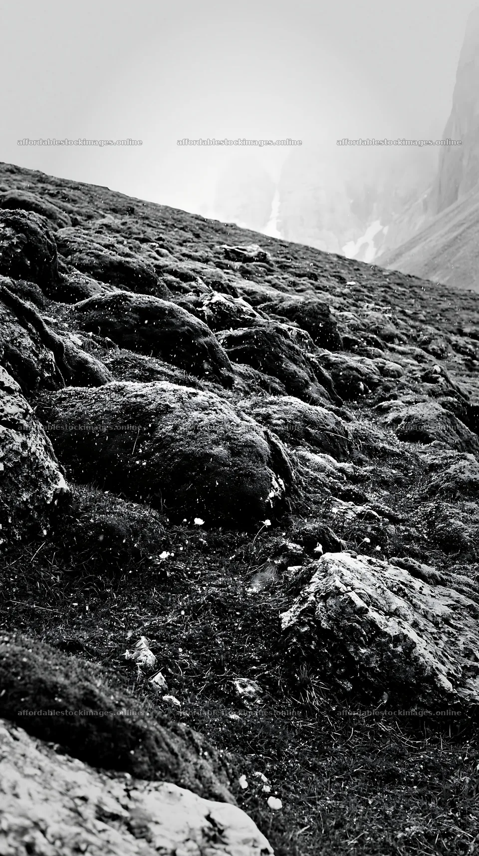 Mossy boulders in a meadow on a cloudy day – stock images 5938x10608