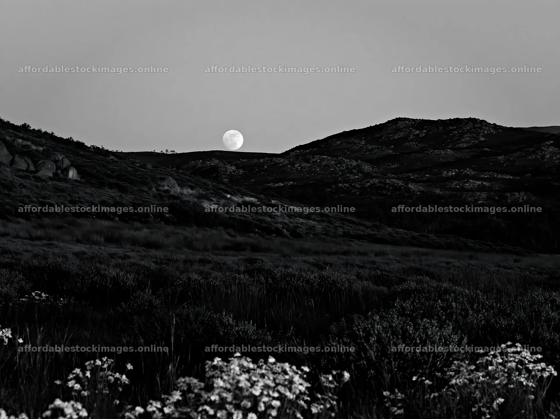Moonrise over meadow with hills in background – stock images 9174x6866