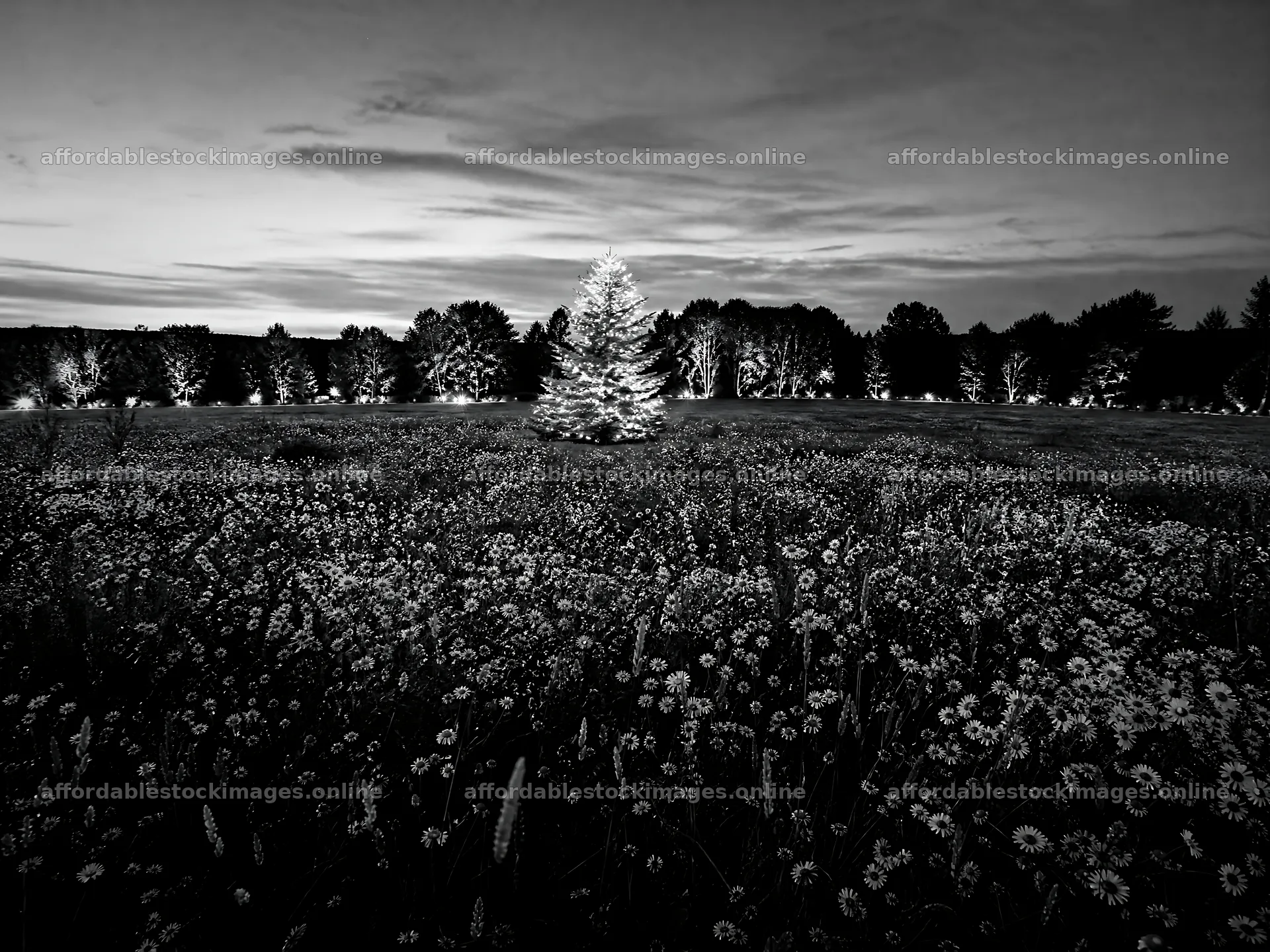 Vibrant Christmas tree at dusk in a meadow with flowers – stock images 9166x6874