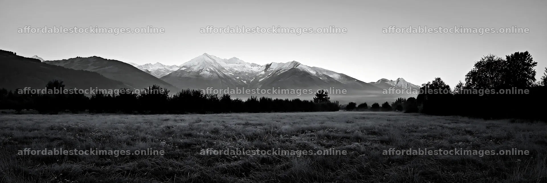 Highland apple meadow with mountains and early morning light – stock images 13690x4602