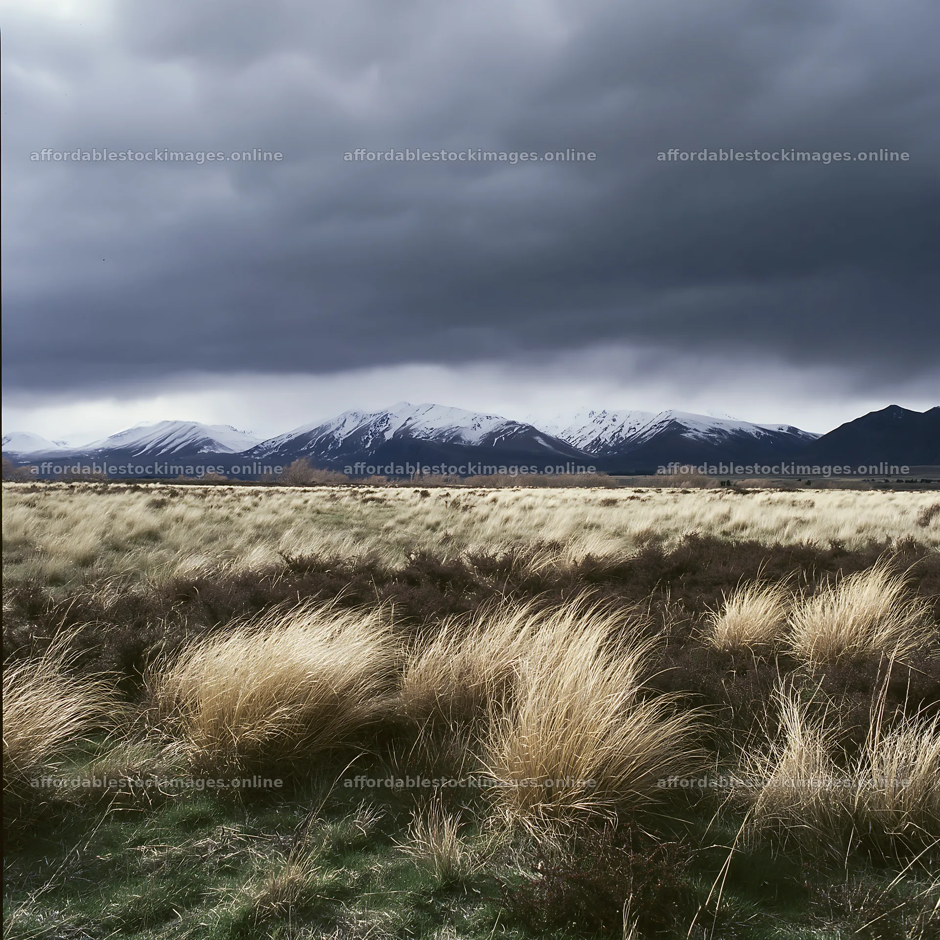 Lake Tekapo meadow with snowy alps in cloudy weather – stock images 7938x7938