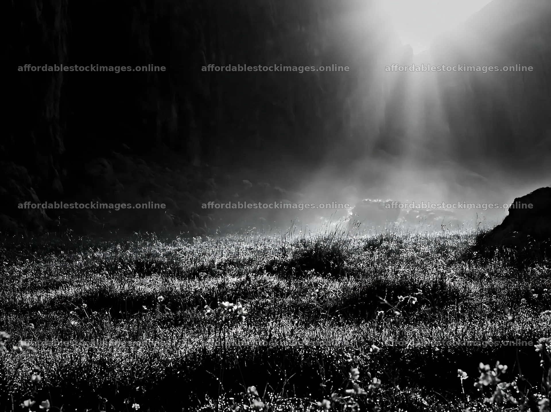 Meadow beneath crags with sunlight illuminating the landscape – stock images 9174x6866