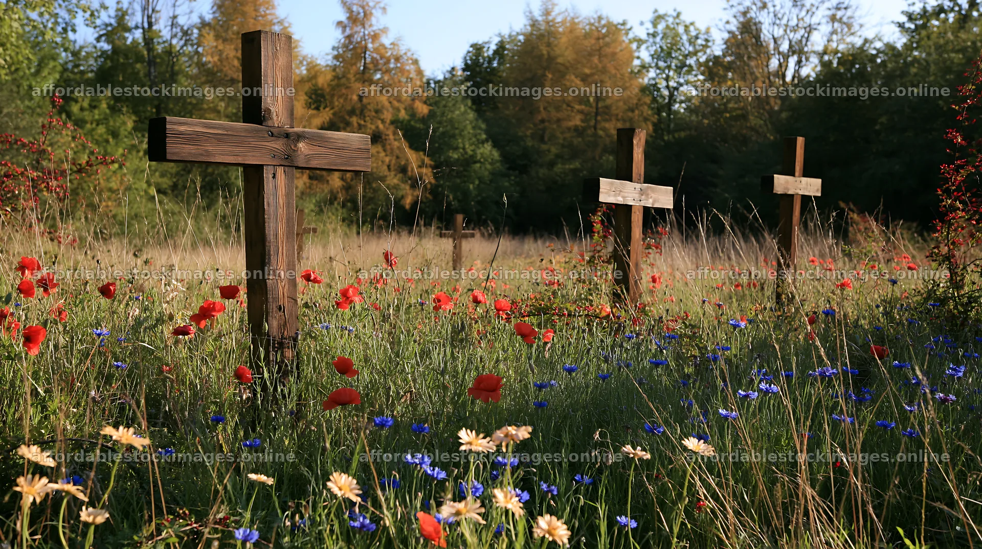 Wooden crosses in meadow with flowers during daytime – stock images 10608x5938