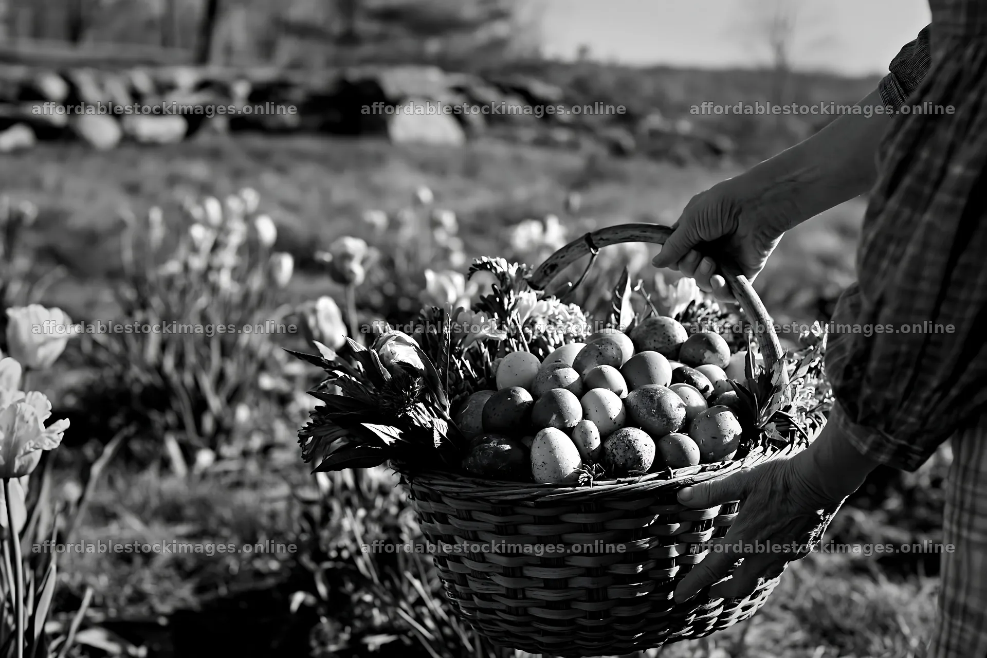 Springtime basket in a meadow with flowers and eggs – stock images 9722x6480