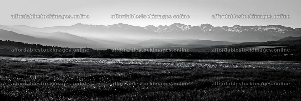 Expansive Hokkaido meadow with dewdrops in black and white – stock images 13690x4602