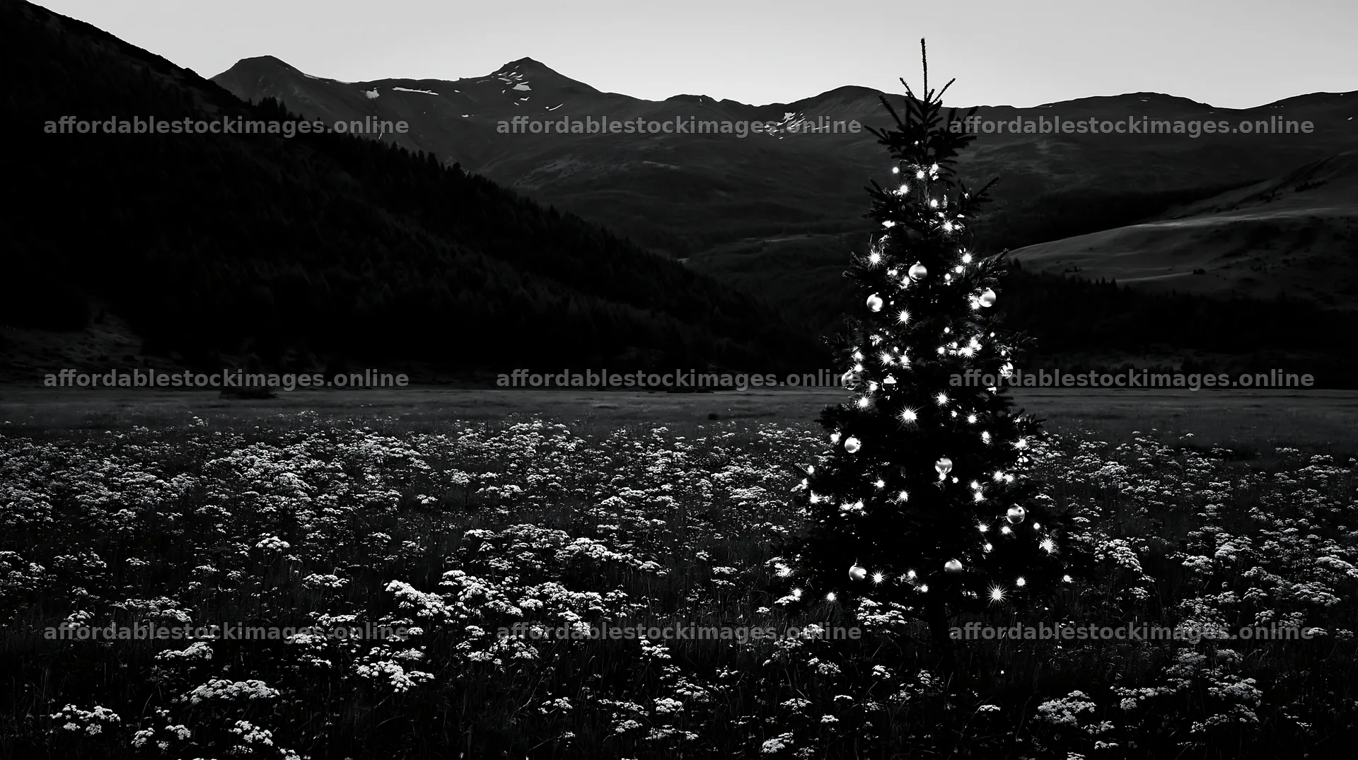Christmas decorations beside tree in mountain valley meadow – stock images 10608x5938