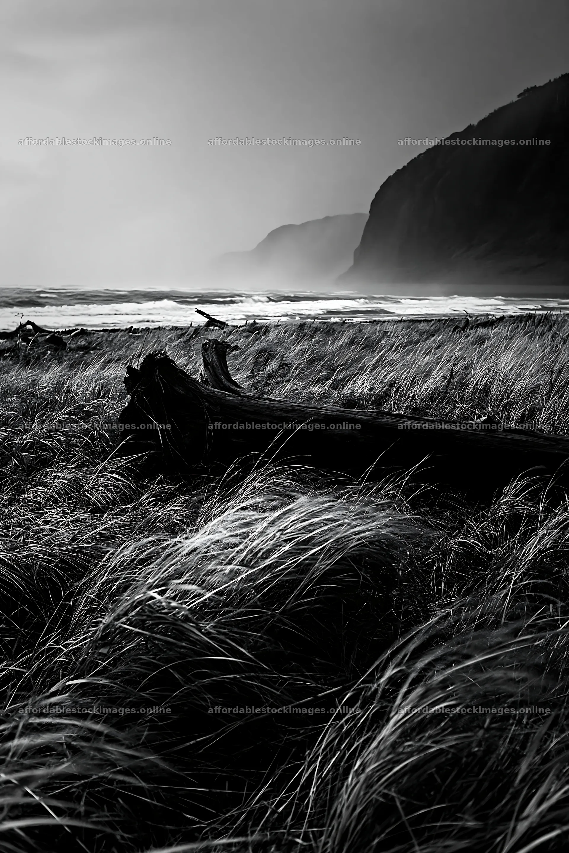 Ishikawa coastal meadow with driftwood during a storm – stock images 6480x9722
